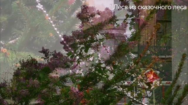 МОСКВА // АНИН САД #Леся_из_сказочного_леса #сказочныйлес