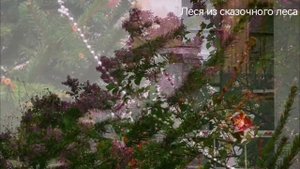 МОСКВА // АНИН САД #Леся_из_сказочного_леса #сказочныйлес