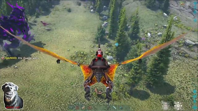 Прохождение ARK: Survival Evolved unnunaki++ Ресурсы, птеры, курочки. Познаем выживание в арк смотреть онлайн