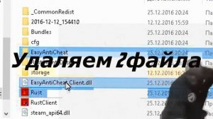 КАК ИСПРАВИТЬ ОШИБКУ РАСТ | DISCONNECT EAC  | ОТВЕТ ТУТ!