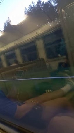 От окраин до центра: исследуем городские районы на общественном транспорте Автогений