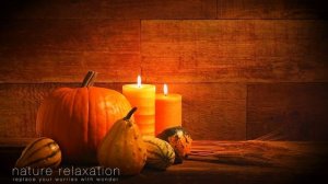 Cozy Thanksgiving - 1 Hour Ambient Film