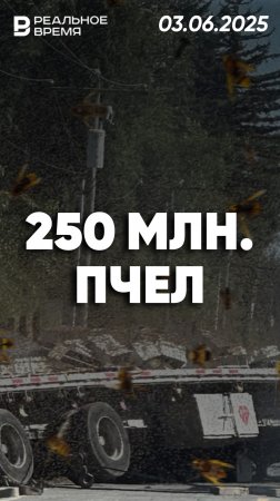 250 млн пчел оказались на свободе