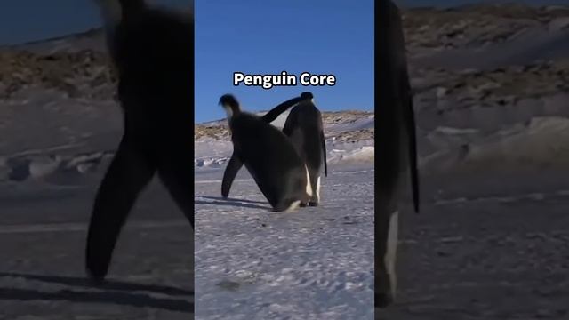 Penguin core