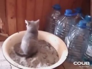 Откровенность ( level 80)