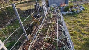 каркас для укрытия роз на зиму из стеклопластиковой а?