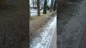 🦆 ДАК МАНИЯ