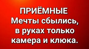 Приёмные/Обзор.