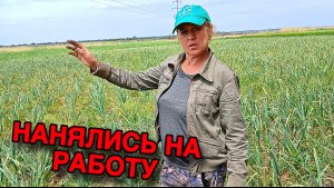 ПОШЛИ С МУЖЕМ РАБОТАТЬ НЕ ПОКЛАДАЯ РУК! Готовлю ВКУСНЫЕ Котлеты ПОСЛЕ Тяжелой Работы.