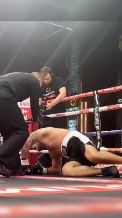 Лучшие нокауты Подпишись и ставь лайк #ufc #mma #youtube #sports #tiktok #shortsvideo #russia #box