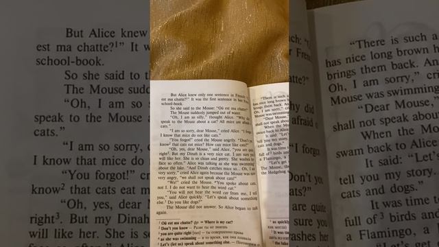 Where is my cat ?/Alice in Wonderland/Chapter 4/аудиослушание смотреть онлайн