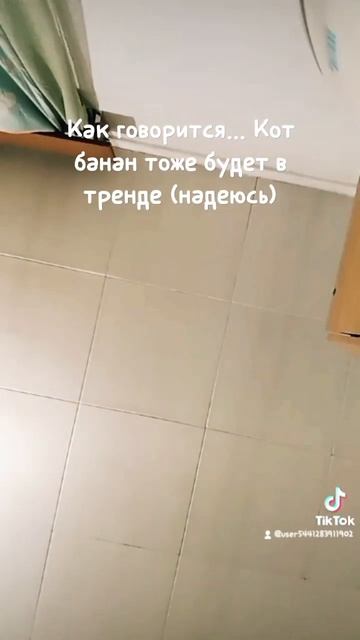 Кот банан тоже хочет быть в тренде🫣🍌😺 #еее #пон #кот_ смотреть онлайн