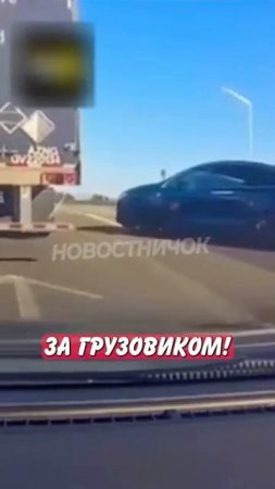 Новостничок (342)