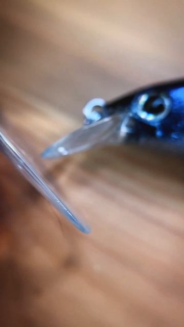 DAIWA Steez Minnow для крупных хищных щук и судаков #shorts #pike #во? смотреть онлайн