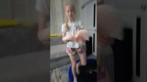 пол ето лава