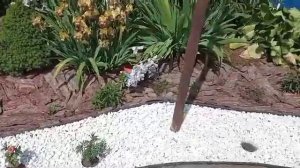 Кора лиственницы в ландшафтном дизайне. Кора (Мульча) ?