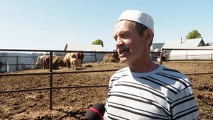 Атлар асраучы Мансур Гыйззәтуллин: «Чабыш атын бала кебек тәрбияләргә кирәк»
