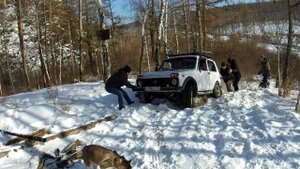 Lada 4x4, Toyota Surf и Subaru Forester. Лесные покатушки. Offroad...