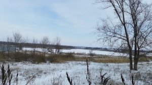 Зимний пейзаж река камыш