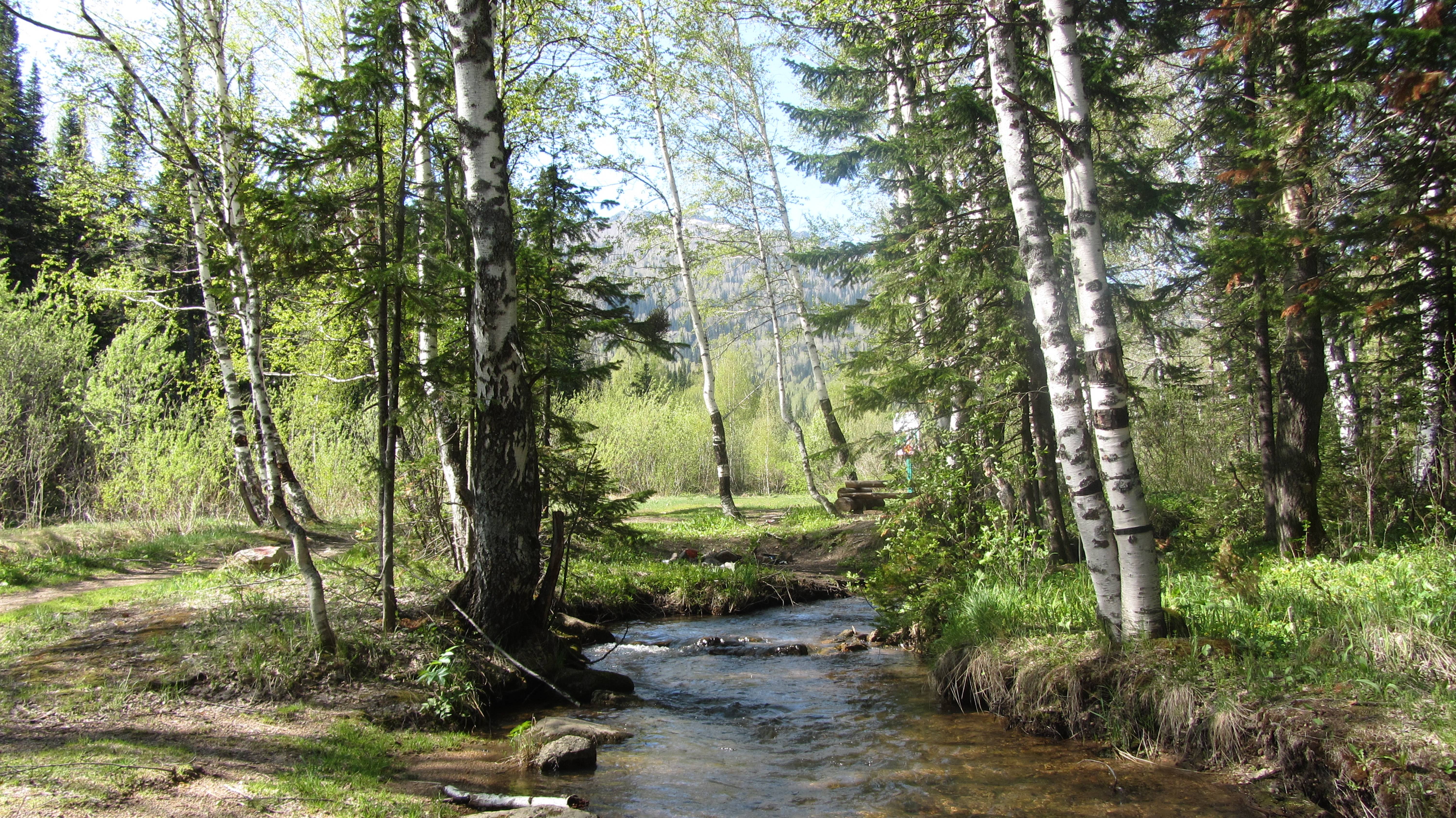 В гости к весенней Синюхе