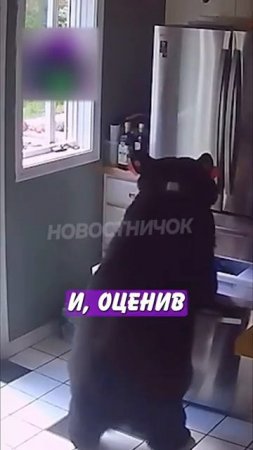 Новостничок (344)