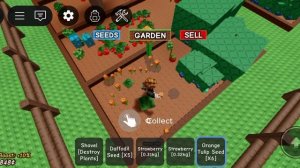 Играю с ⁨@Егорка-к5е⁩  в: Grow a garden! (Roblox)