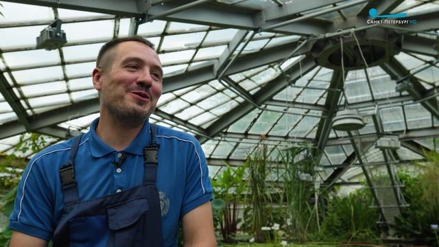 Мы — петербуржцы. Денис Мигулин