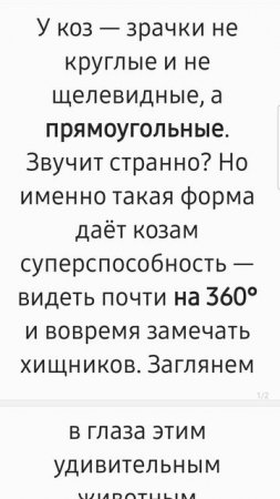 У коз прямоугольные зрачки! Факт за фактом