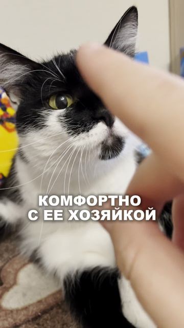 Жду именно тебя 💜 #психология #коучинг #нейрокоуч #расстановки #осознанность #мотивация смотреть онлайн