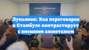 Лукьянов: Ход переговоров в Стамбуле контрастирует с внешним ажиотажем