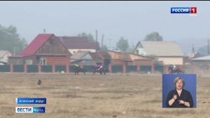 3 июня «Вести-Чита» в 11:30