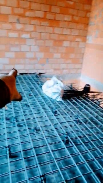 #московскаяобласть#истра#монолит#монолитныеперекрыт? смотреть онлайн