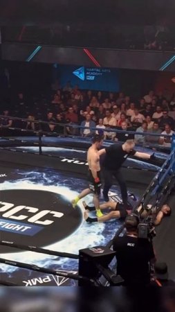 Лучшие нокауты Подпишись и ставь лайк #ufc #mma #youtube #sports #tiktok #shortsvideo #russia #box