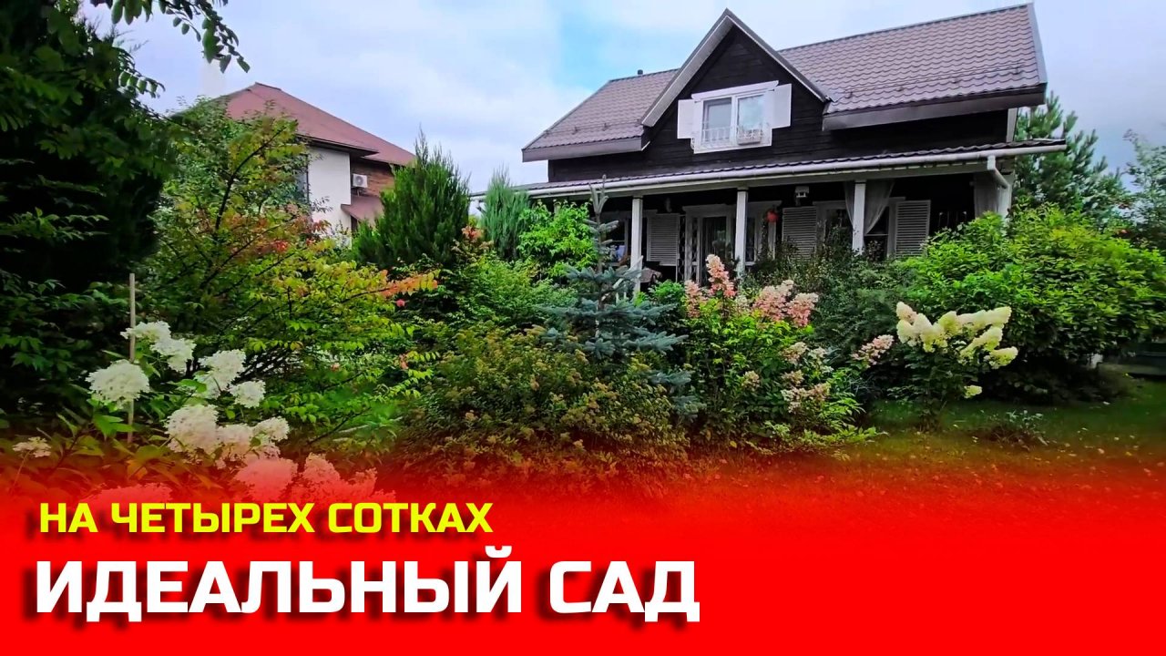Малоуходный сад мечты: как спланировать участок, чтобы меньше работать и больше отдыхать