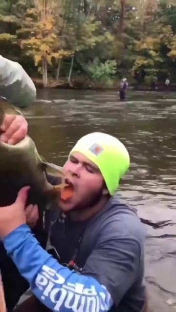 вот так нужно есть икру 💪💪 #юмор #приколы #юморныемем смотреть онлайн