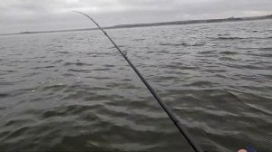 Новинка 24 года. DAIWA 24 STEEZ SV TW. Тест на воде. Приятно удиви