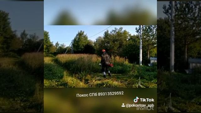 Покос 25 СПб 89313529592 смотреть онлайн