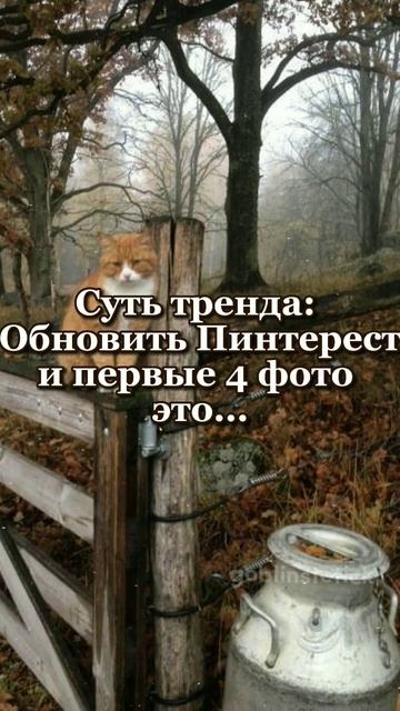 Обновить Пинтерест и первые 4 фото это... |goblinstetick 🐸🍄 смотреть онлайн