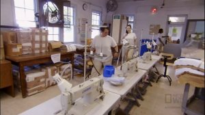Puppies Behind Bars | Blue Collar Dogs