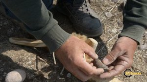 Стрелы каменного века. Часть 2.