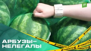 Как челябинская таможня досматривает фуры с иностранной продукцией?