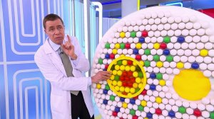 Врачи назвали три причины включить латук в рацион