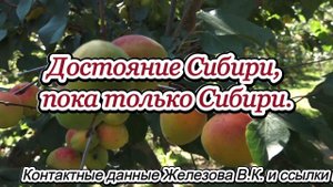 Достояние Сибири, пока только Сибири.
