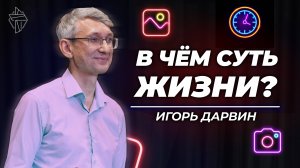В чём суть жизни?