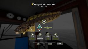 Русская рыбалка 4 - Вечерний стрим. На просторы моря ч.2!