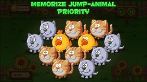 Funny Animals