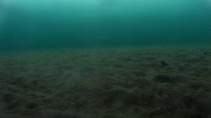 Подводное видео. На 3-х метровой глубине.