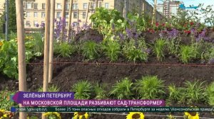 Сад-трансформер на Московской площади