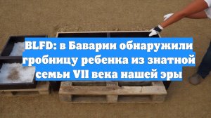 BLFD: в Баварии обнаружили гробницу ребенка из знатной семьи VII века нашей эры