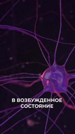 😳 Протез, читающий мысли: наш ответ Маску